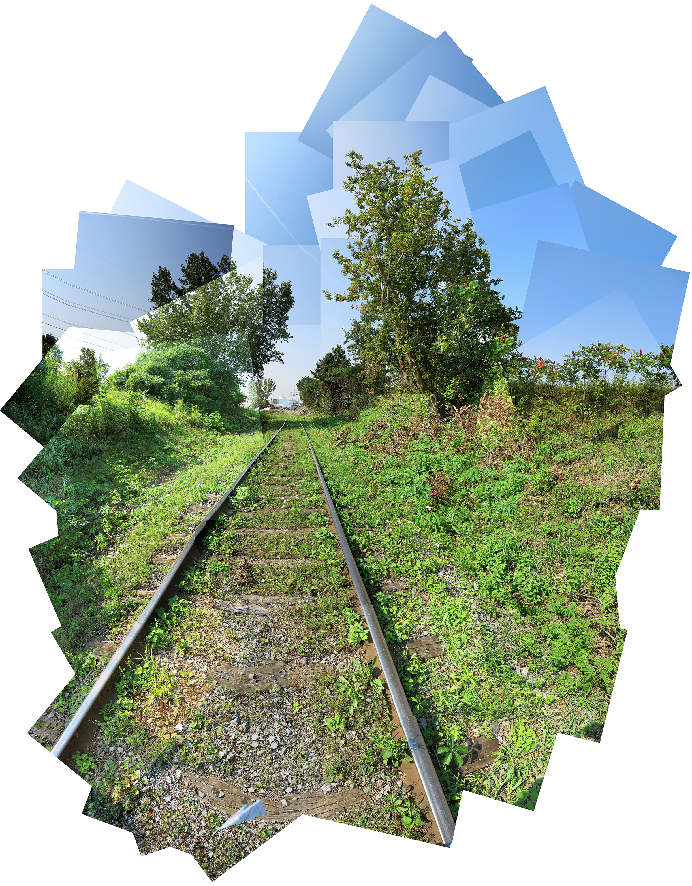 20190124_montagephoto2_precisionvague